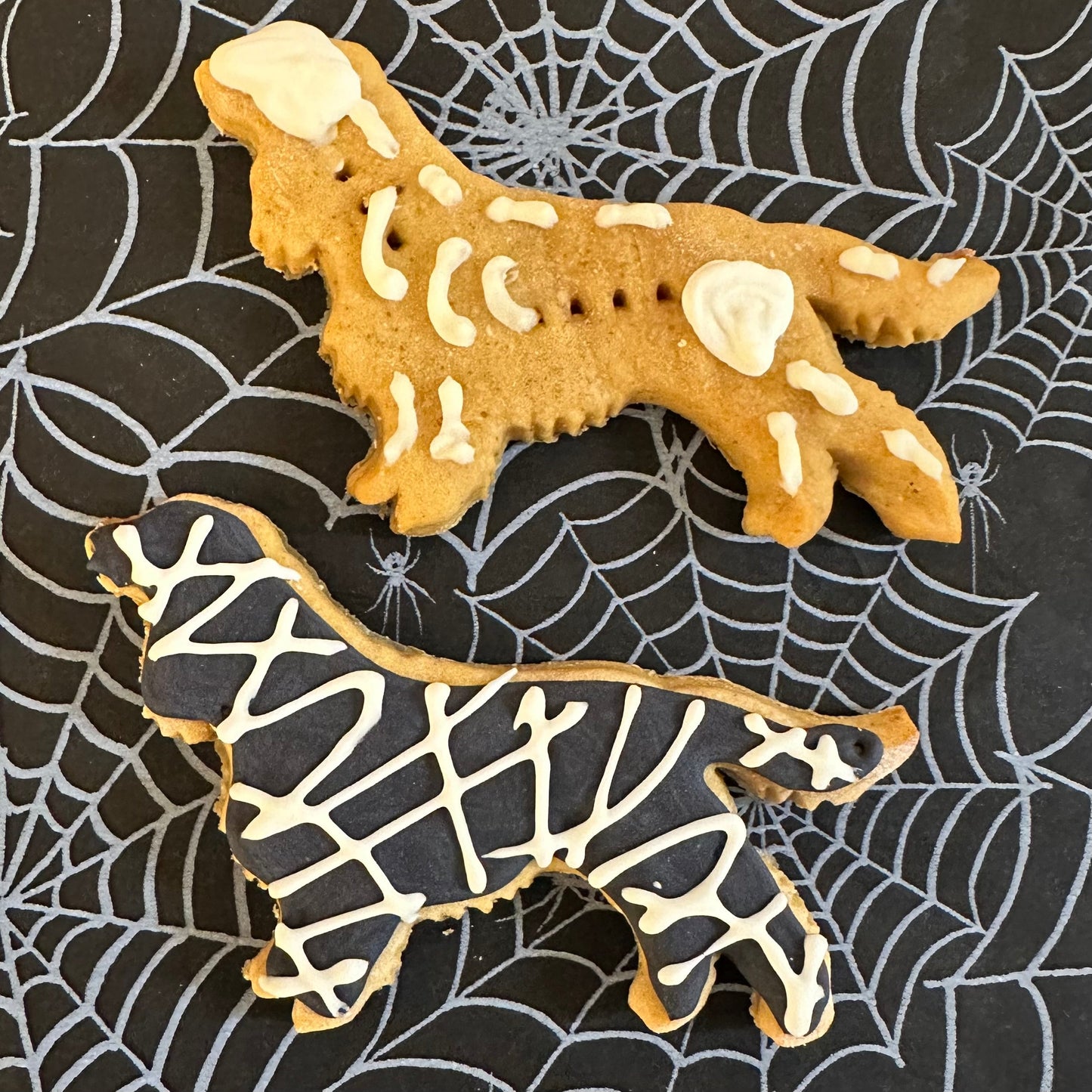Two dog biscuits shaped like Spaniels with a skeleton and mummy design, placed on a black background with a spider web pattern.