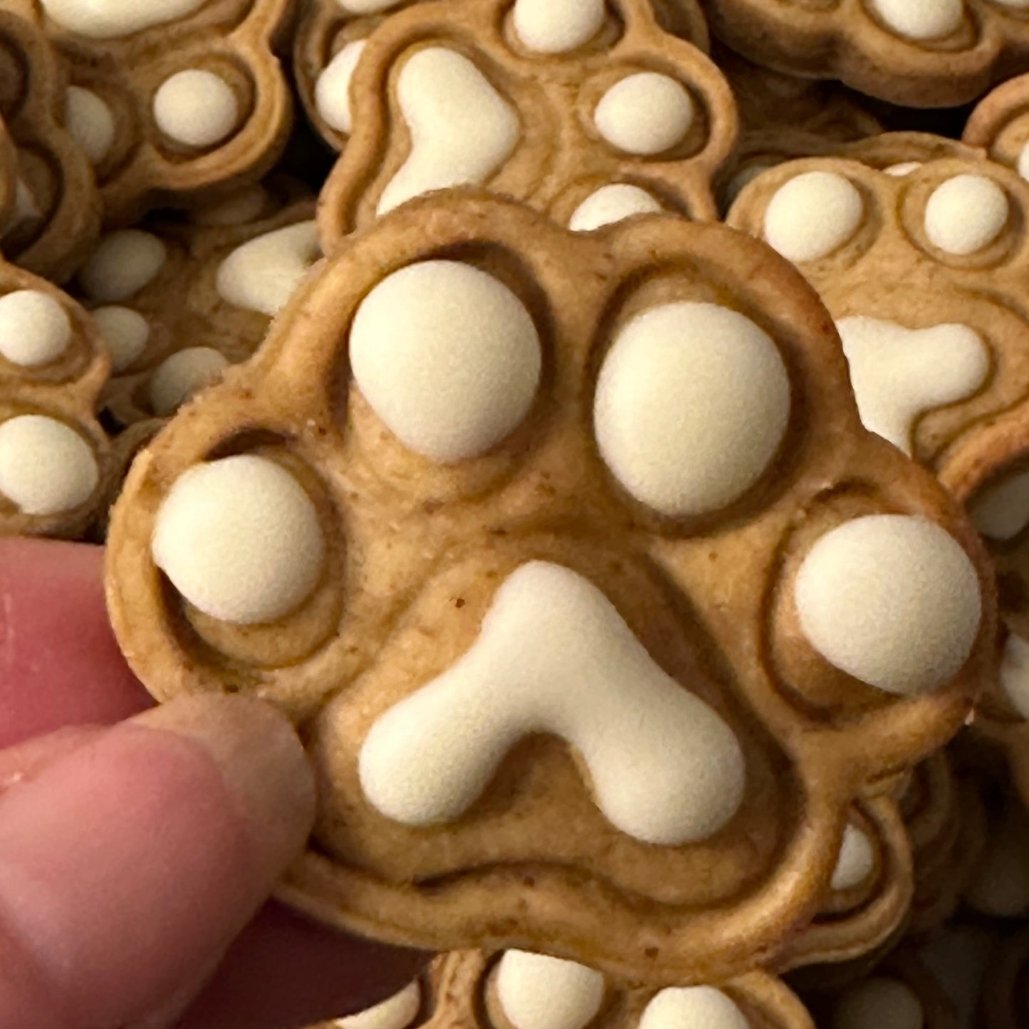 A close up of a mini paw with white icing