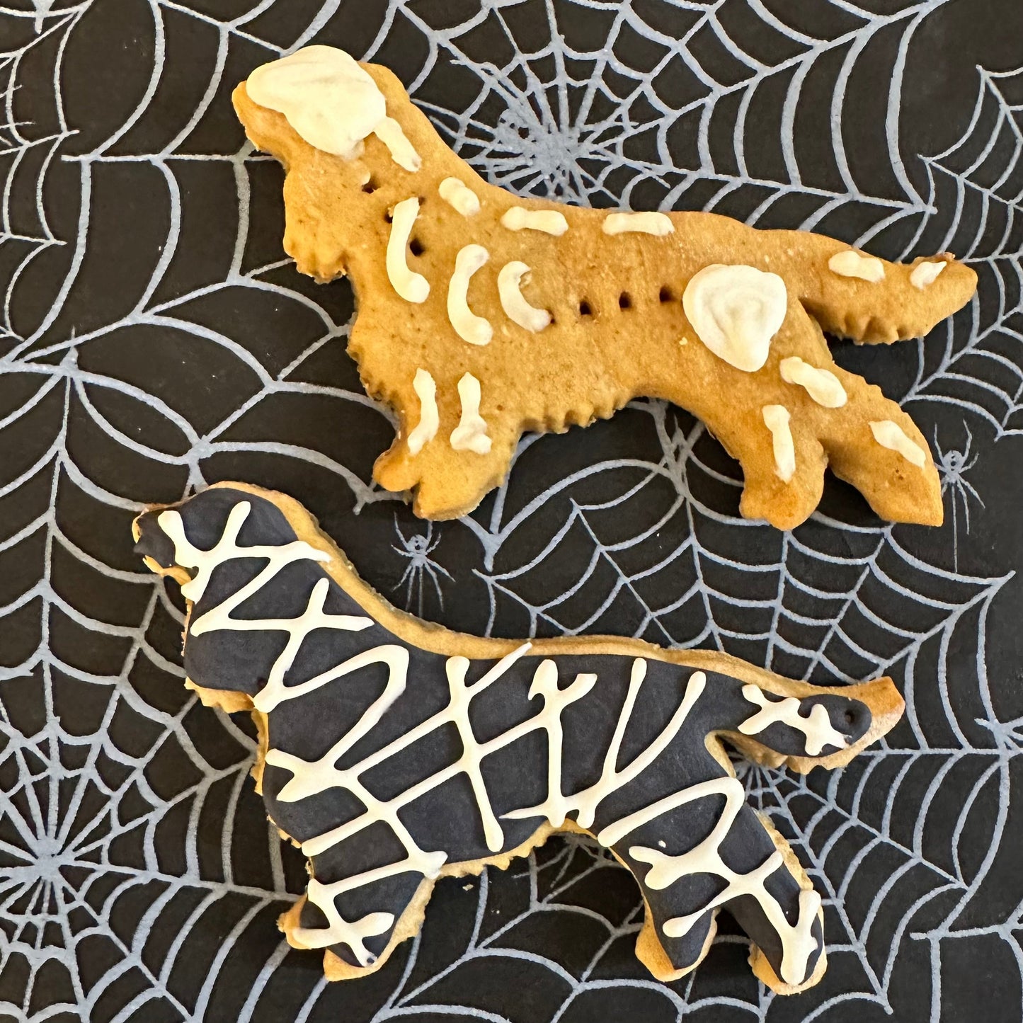 Two dog biscuit shaped like Spaniels with a skeleton and mummy design, placed on a black background with a spider web pattern.