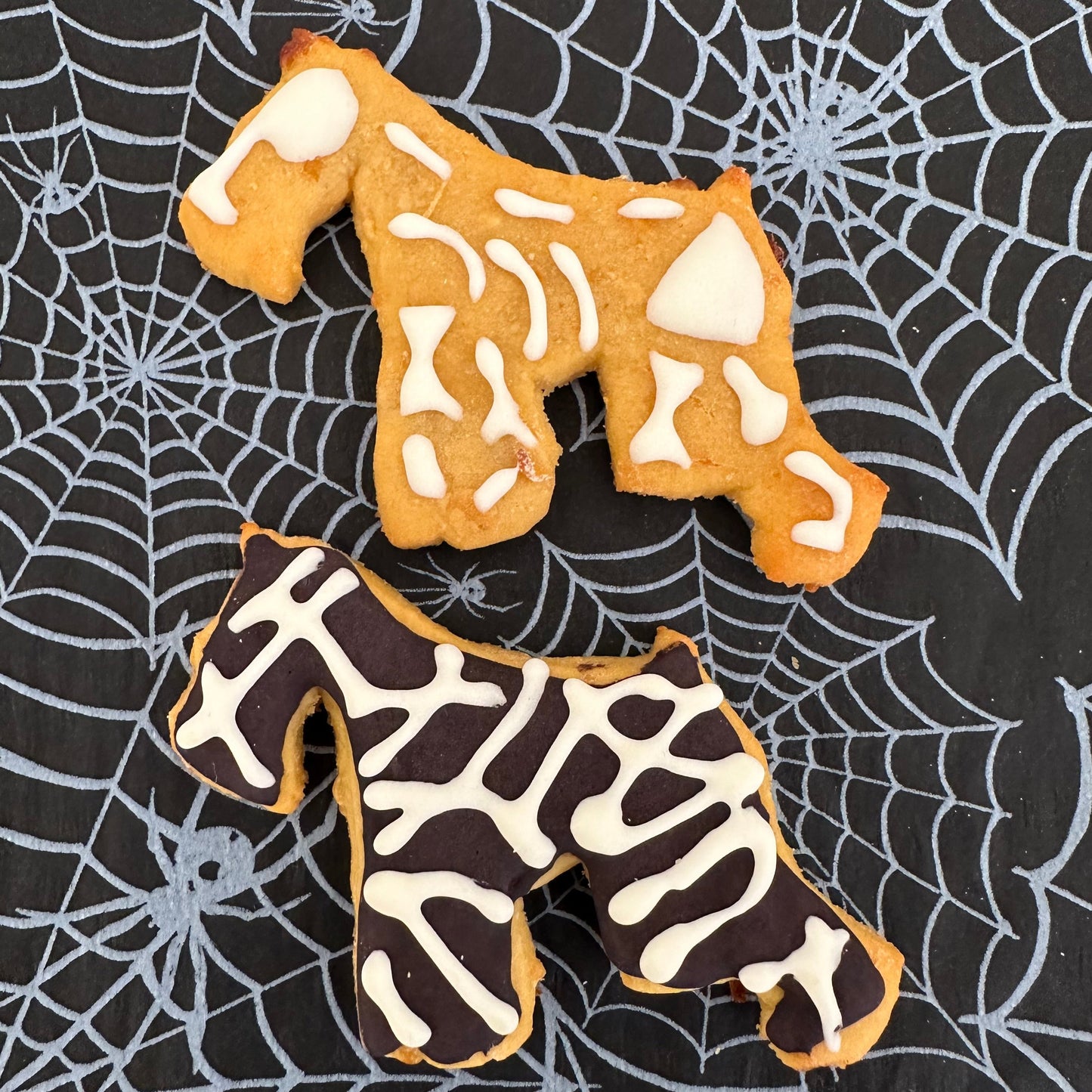 Two dog biscuit shaped like Schuzners with a skeleton and mummy design, placed on a black background with a spider web pattern.