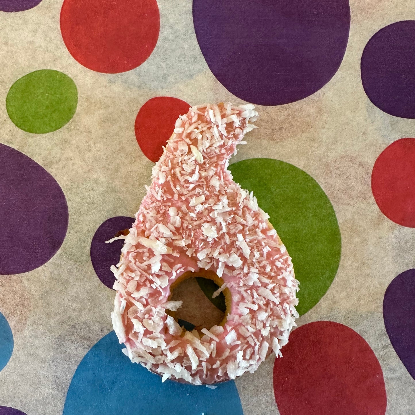 A coconut covered number biscuit for dogs placed on a background with colourful polka dots.