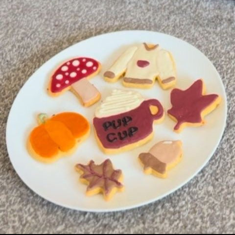Autumn dog biscuit set with Pup Cup, pumpkin-spice sweater and pumpkin