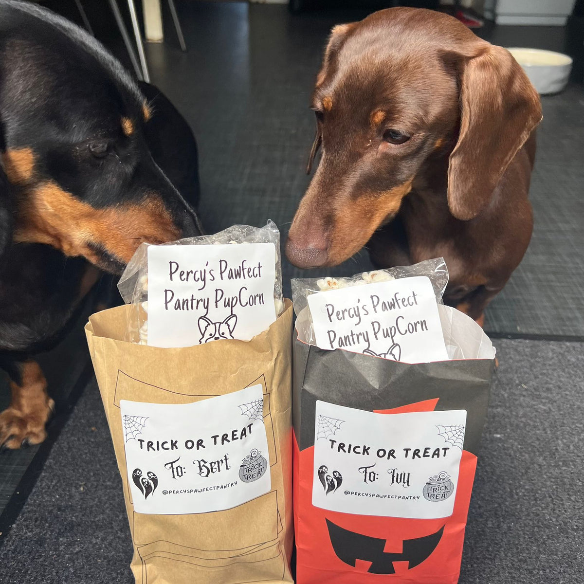 Dogs with personalised Halloween trick or treat bags