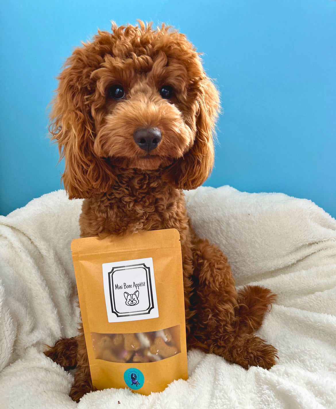 A dog posting with a treat bag of mini bones