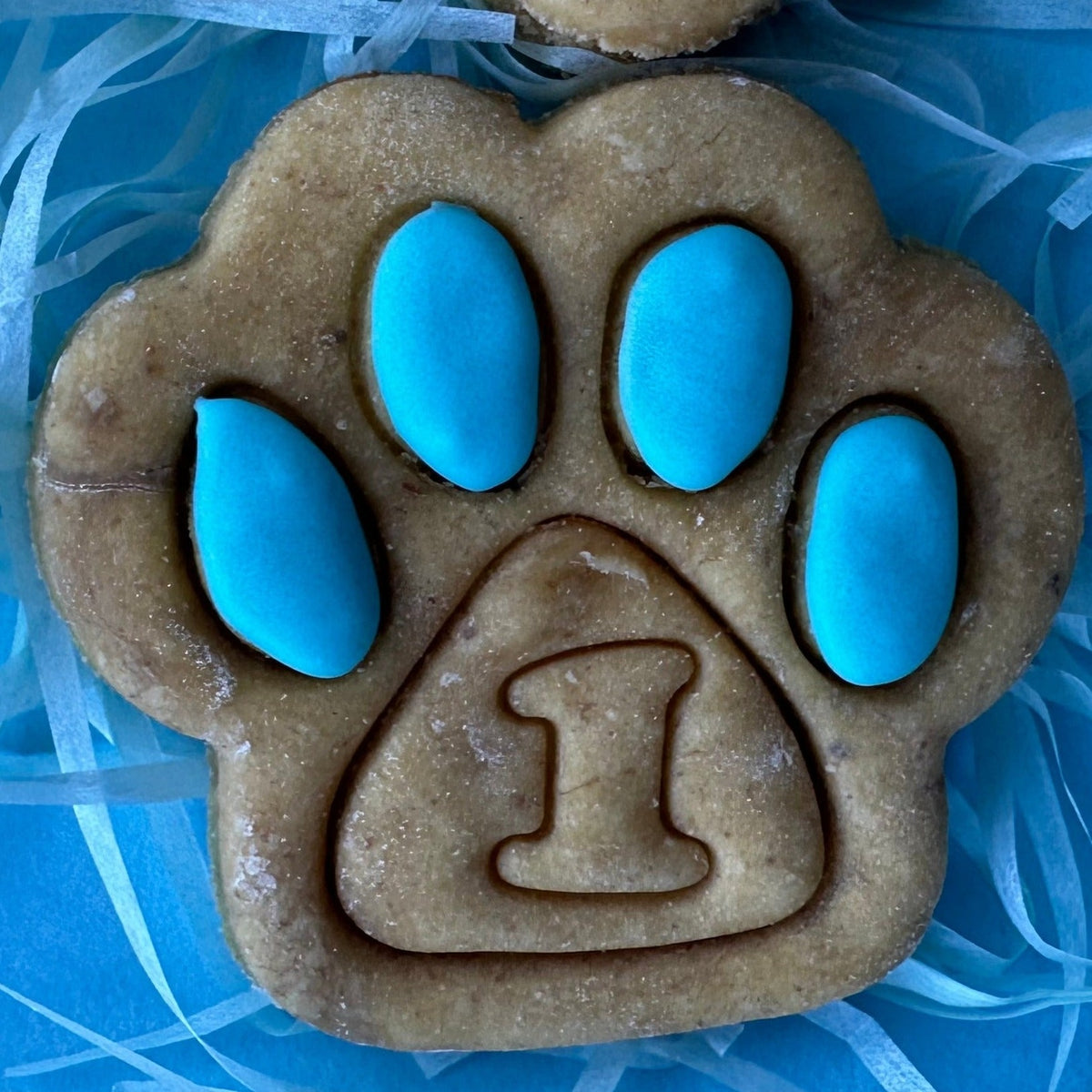 Large number paw dog biscuit with blue icing
