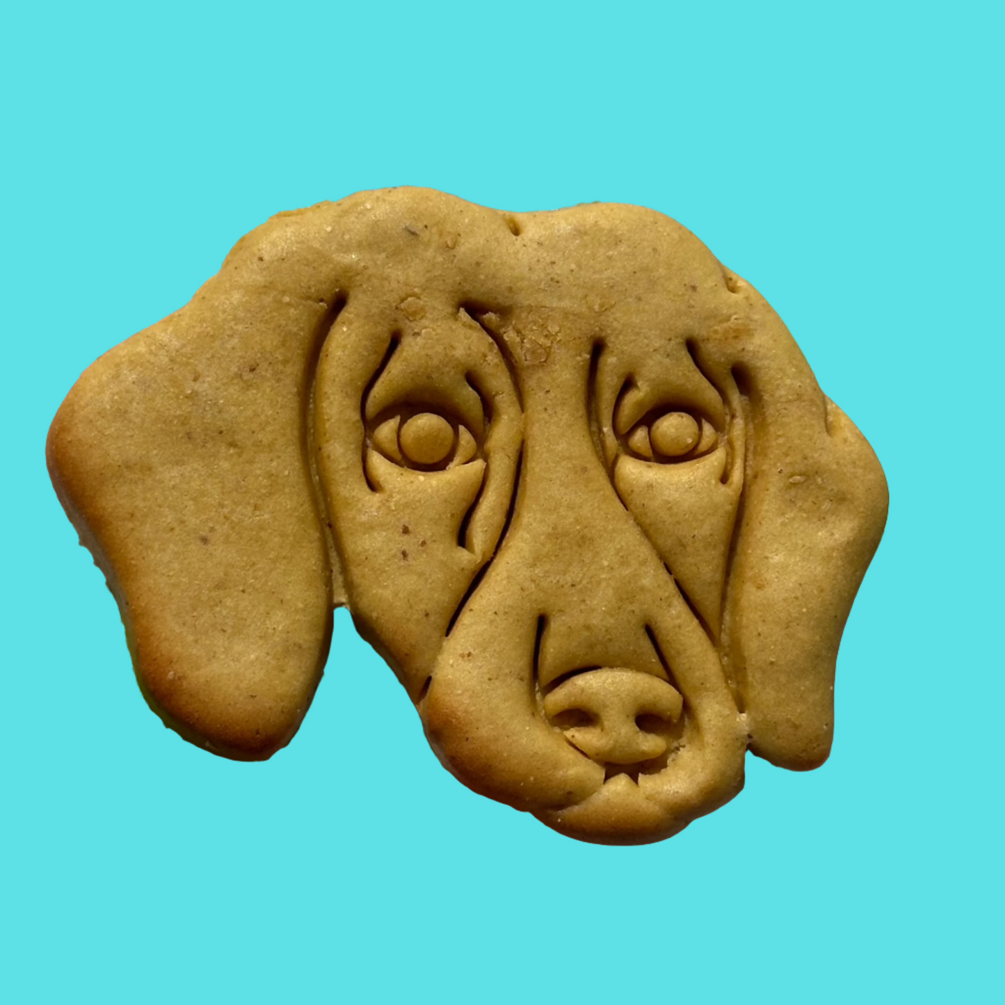 A cookie shaped like a dachshund's face on a blue background.