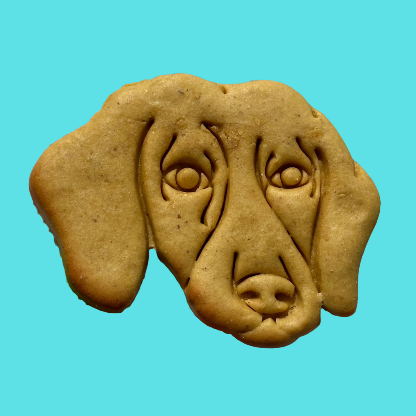 A cookie shaped like a dachshund's face on a blue background.