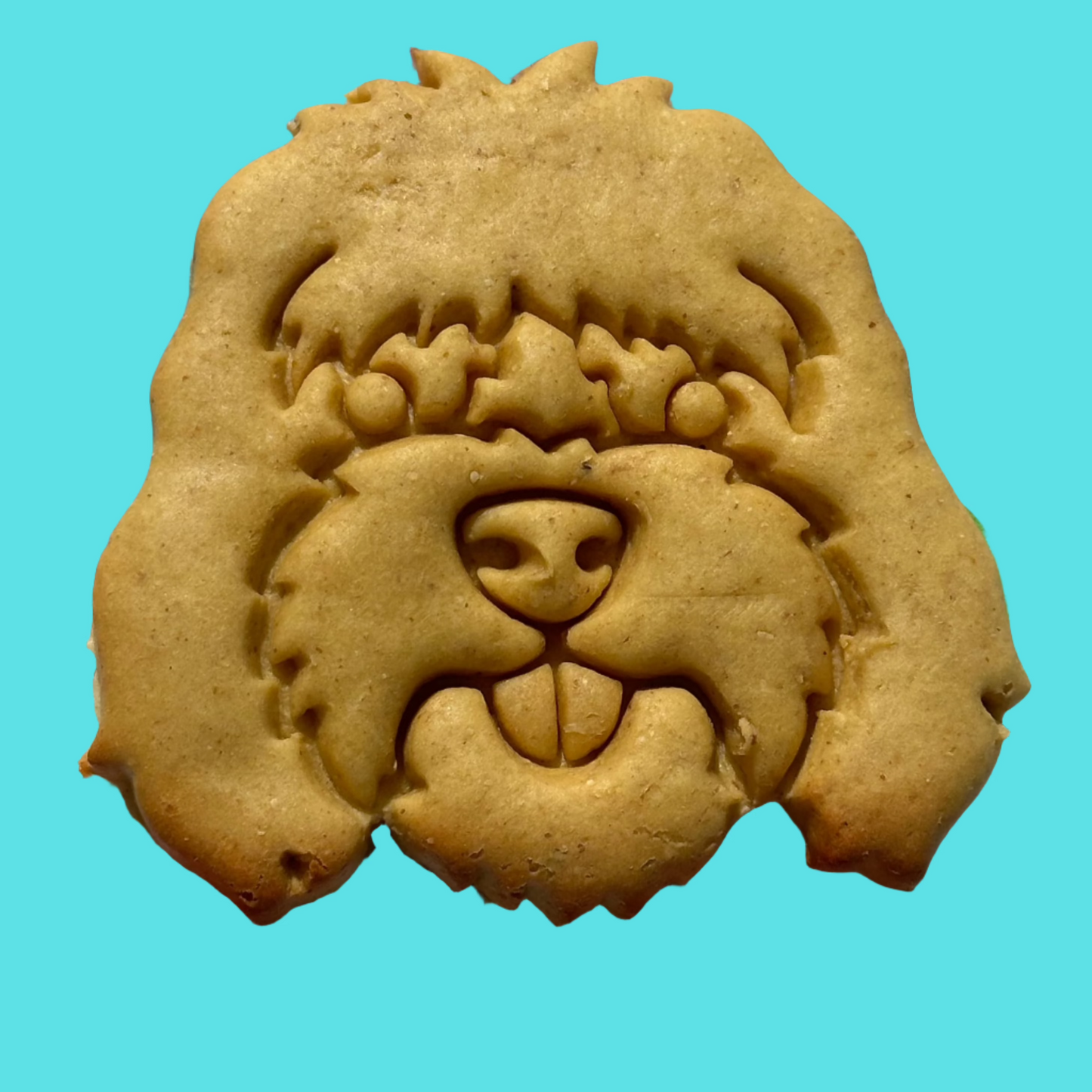 A dog biscuit shaped like a Cockapoo's face on a blue background.