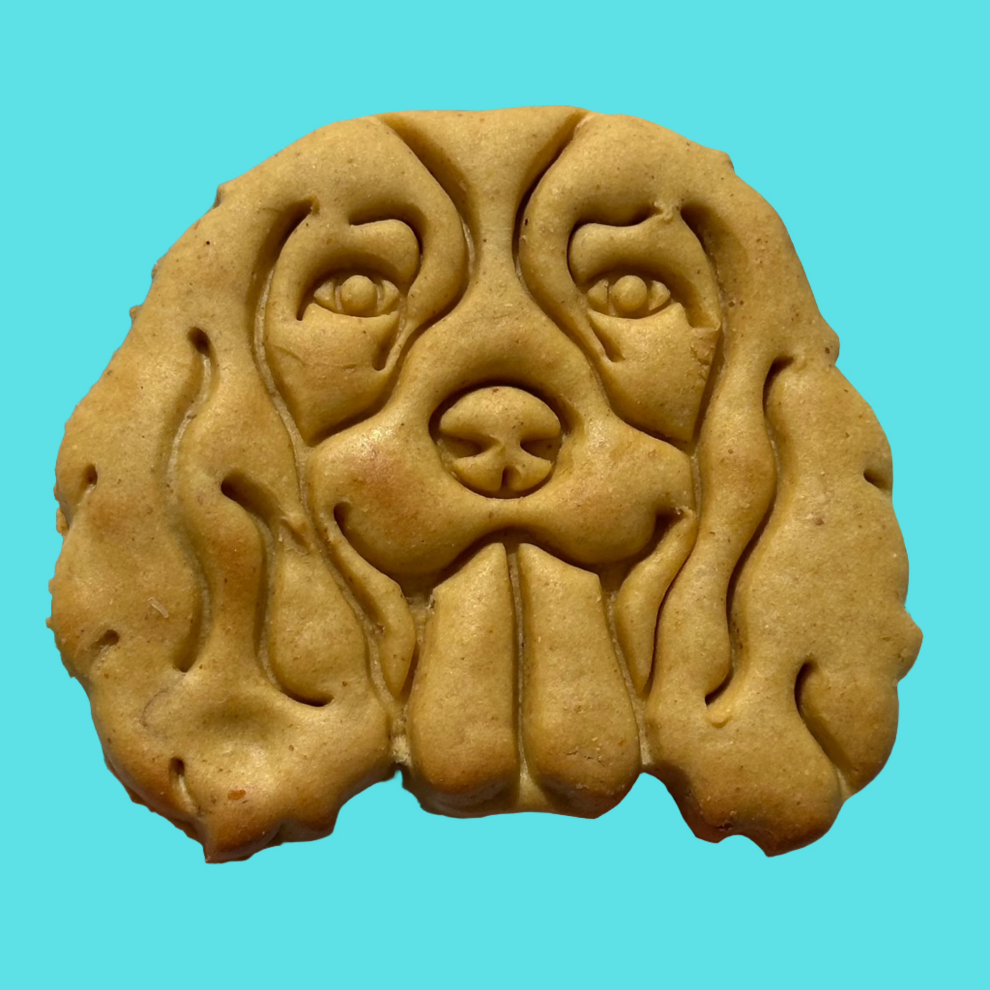 A cookie shaped like a Spaniel's face on a blue background.