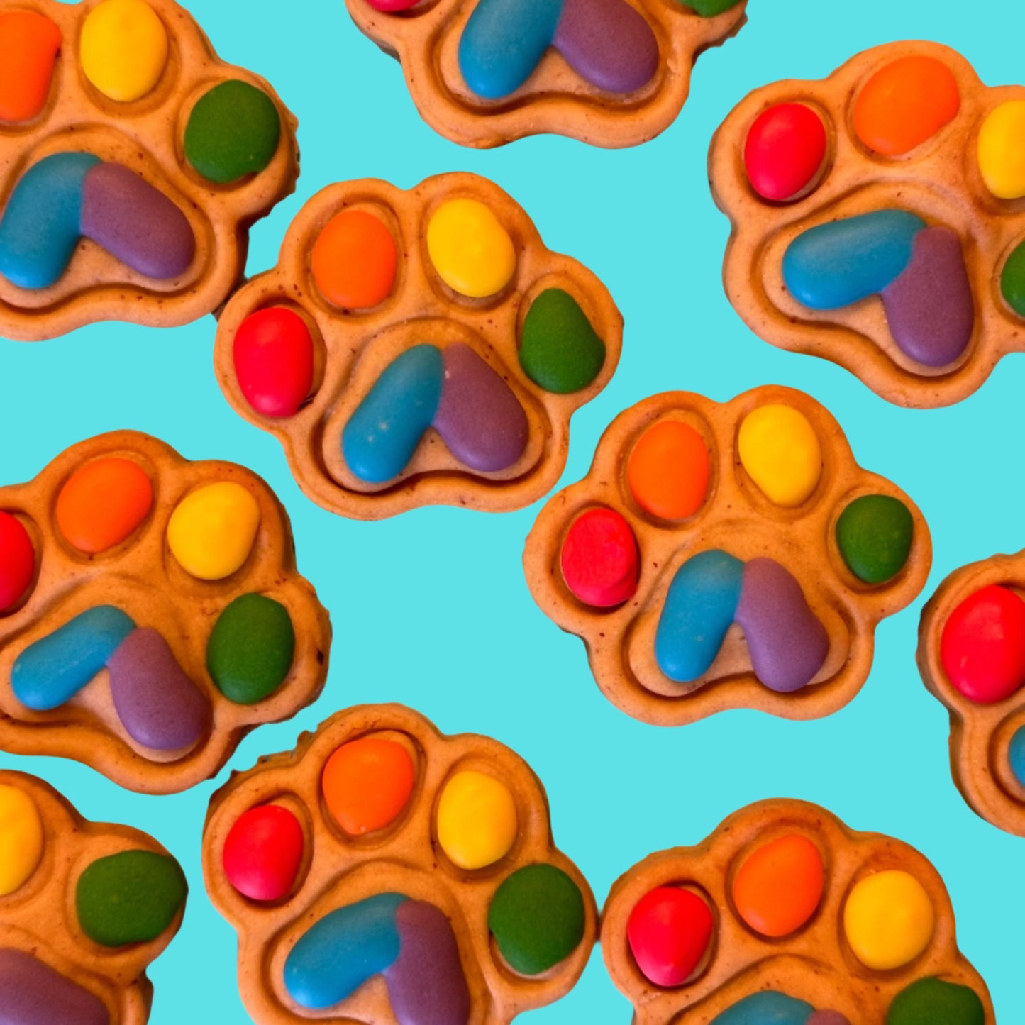 A selection of  paw-shaped dog treat with multi-coloured icing resembling a rainbow on a rainbow background.