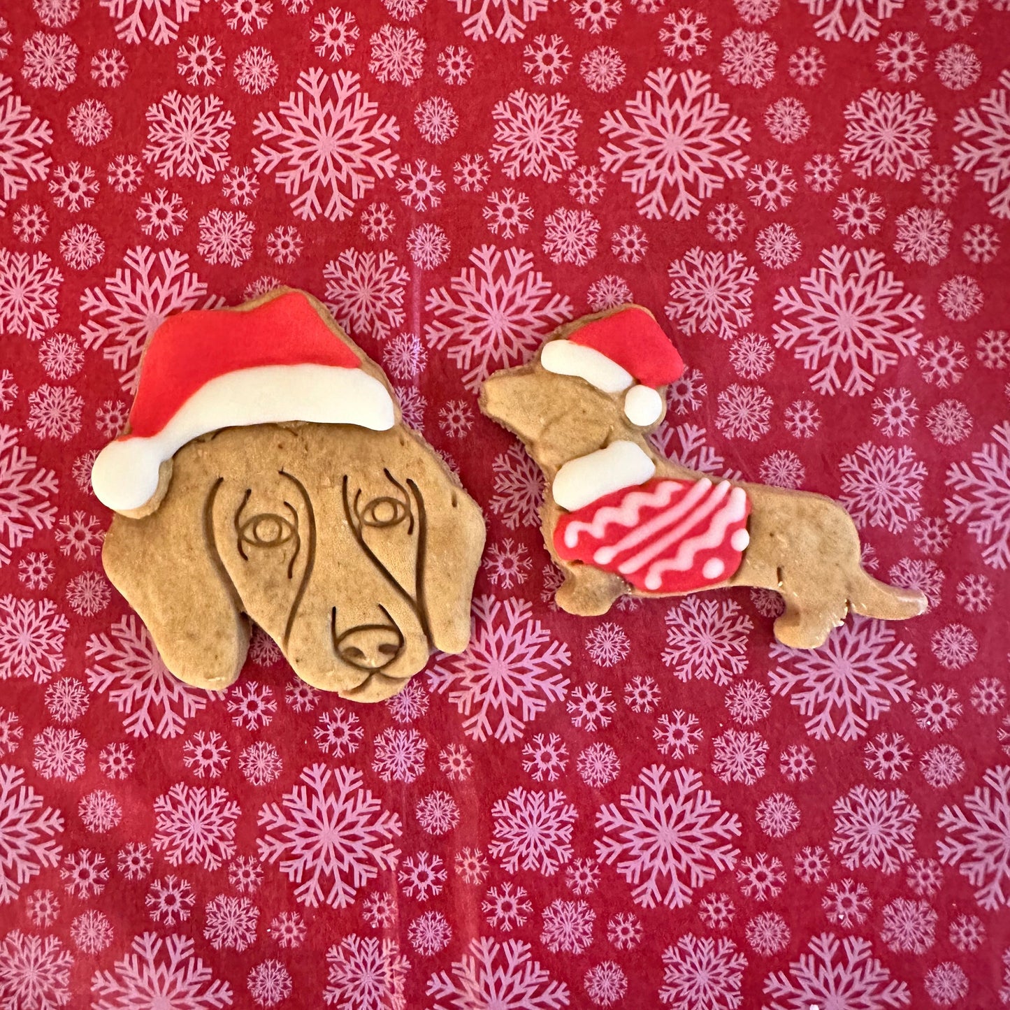 Dachshund shaped dog biscuits with dog face in a Santa hat, and a dog in a xmas jumper and santa hat