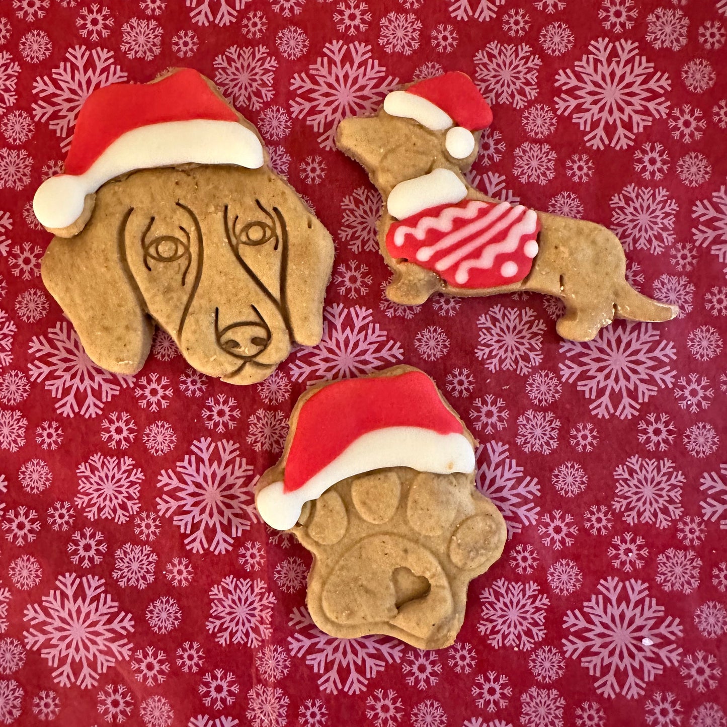 A selection of dog biscuits in the shaped of a dog face in a Santa hat, a dog in a xmas jumper and a paw with a santa hat