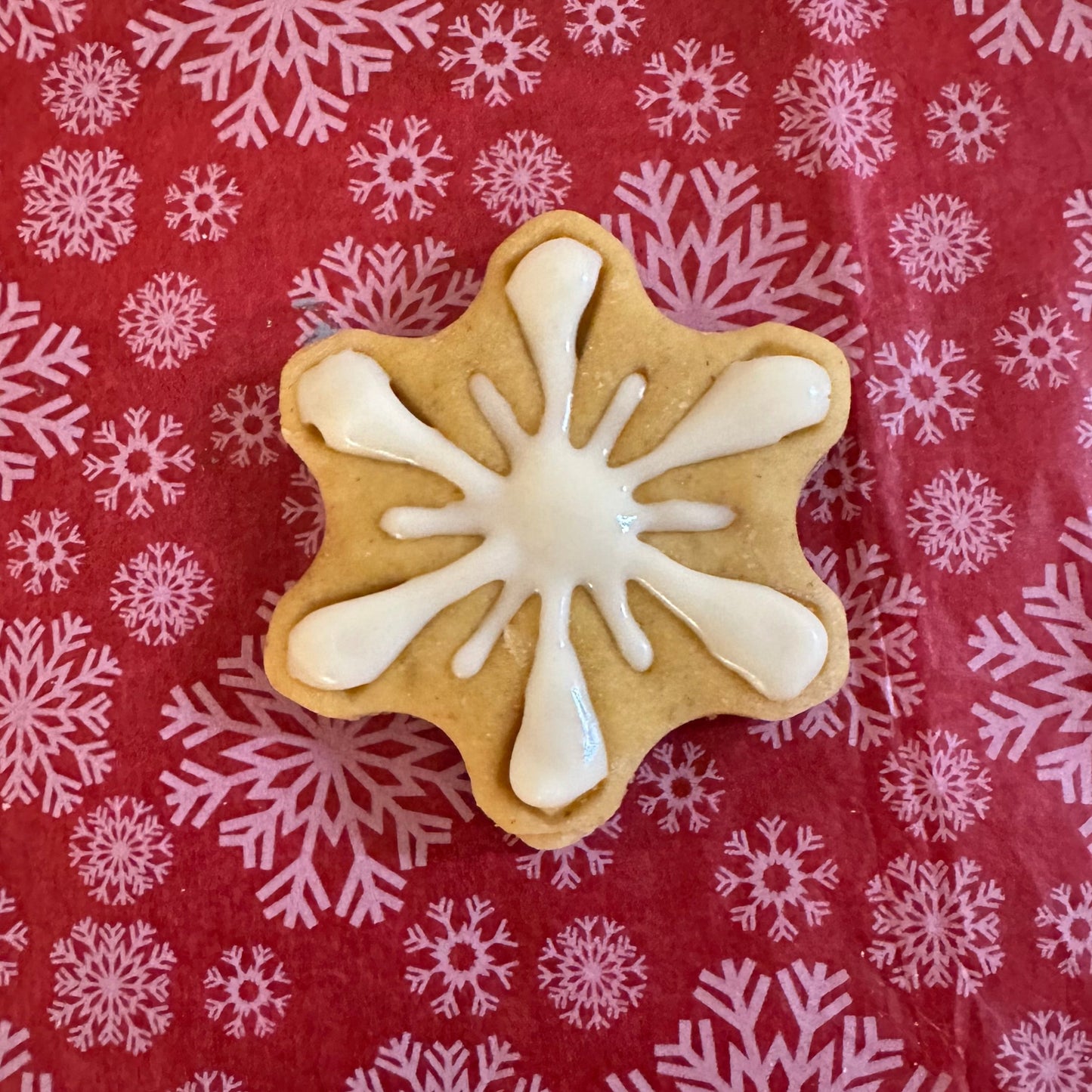 A white snowflake shaped dog biscuit