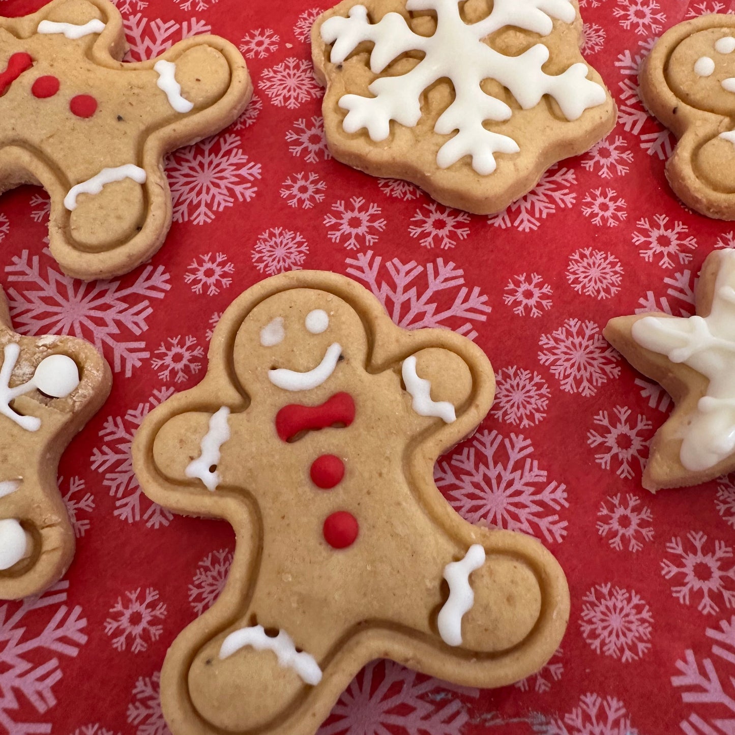 Close up of a variety of iced gingerbread man and snowflake-shaped dog treats on a red patterned surface.