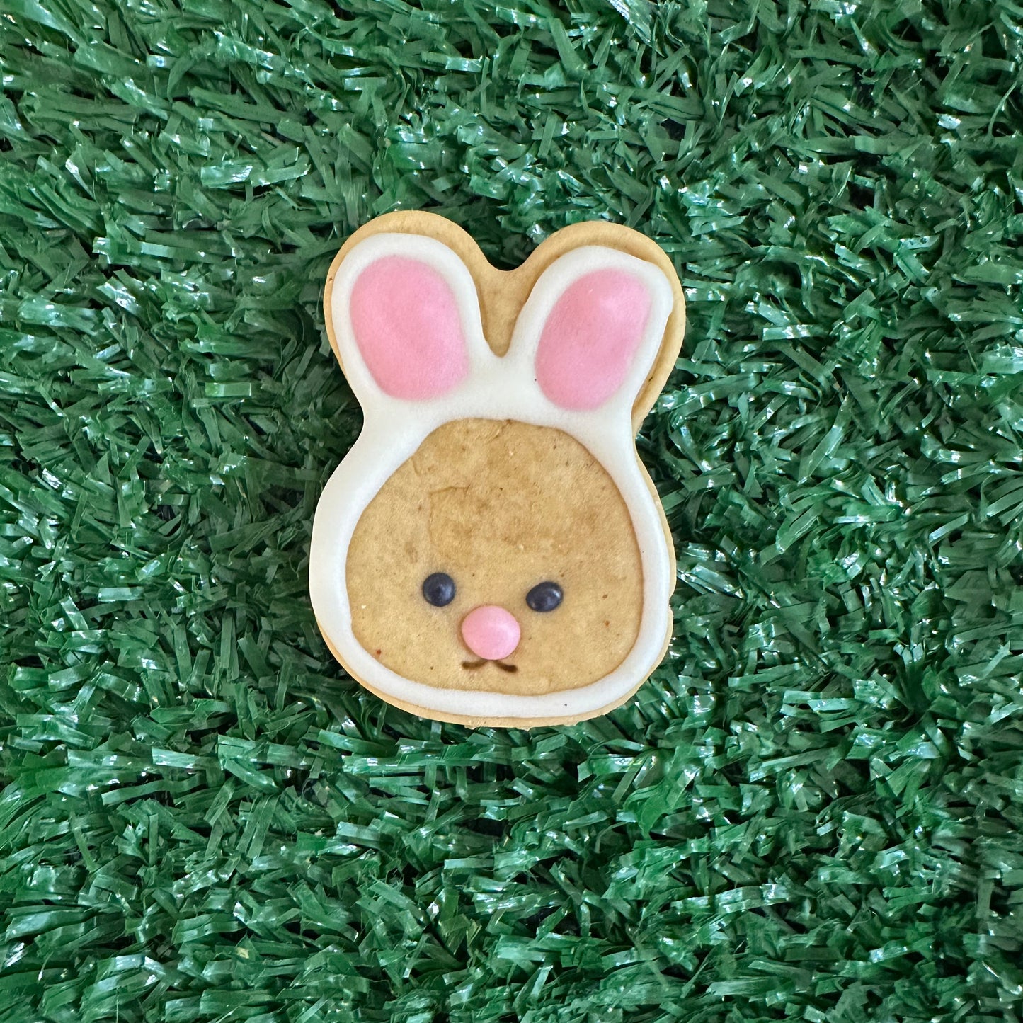 bunny face on a green background