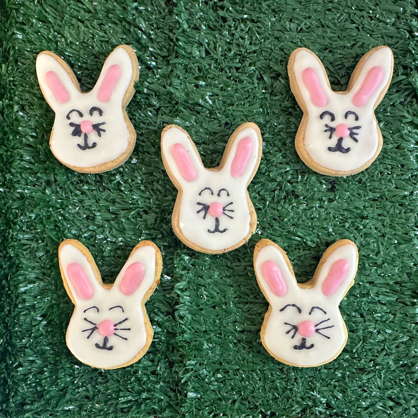 5 bunny-shaped dog biscuit decorated with dog-friendly icing, presented on a green background with
