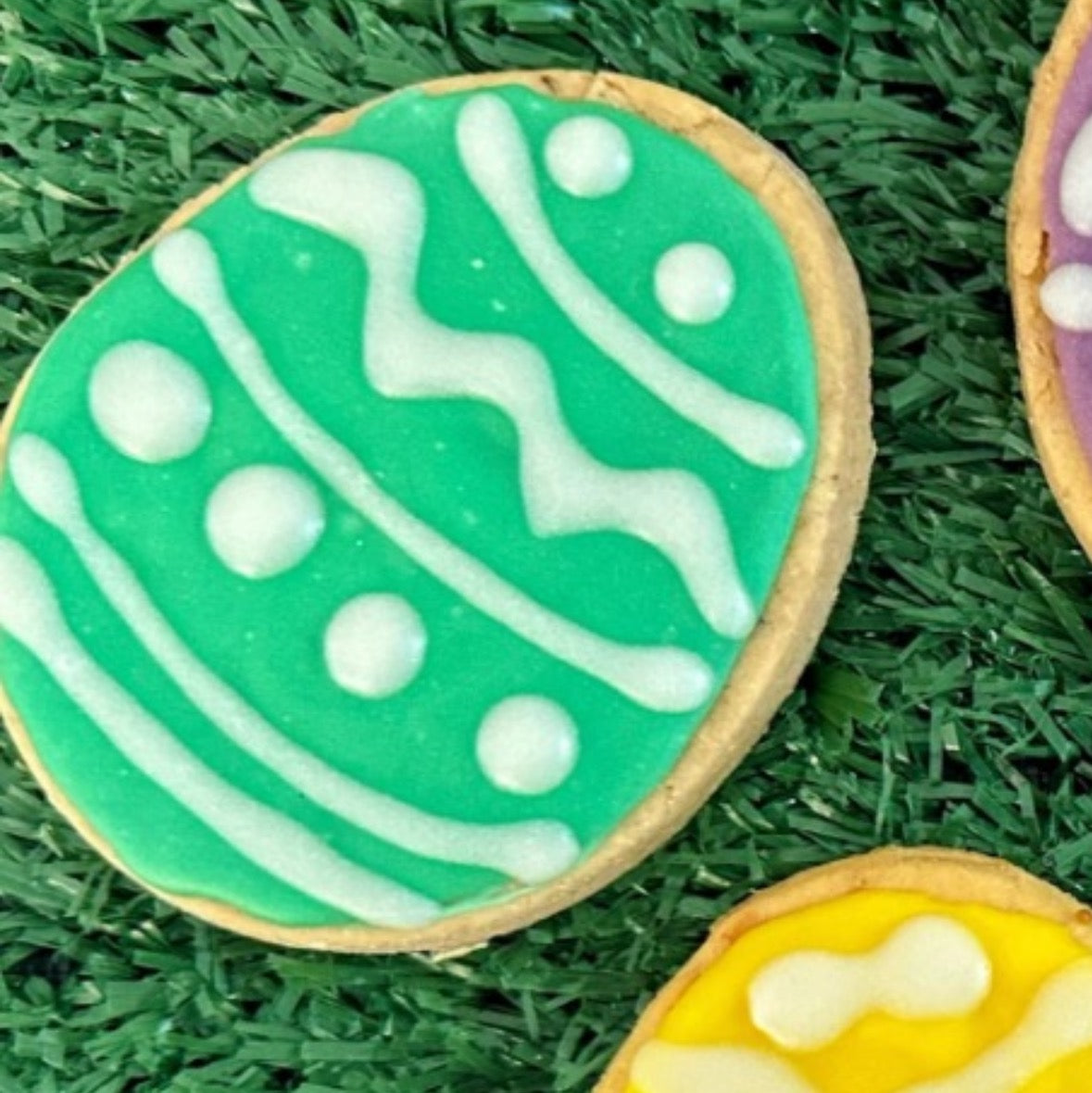 Cloe up of a green and white dog biscuit shaped like Easter Egg