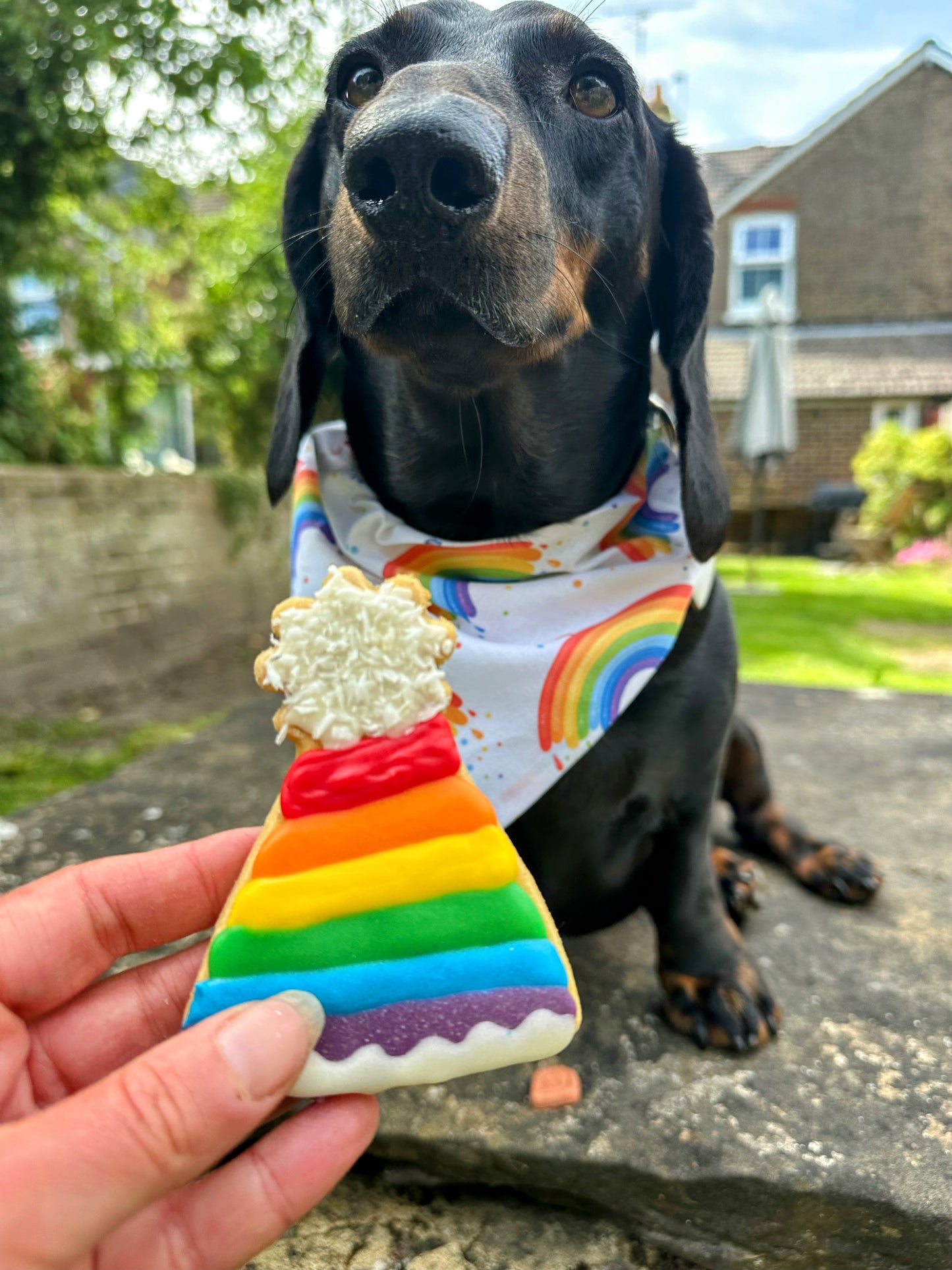 Proud of Pride