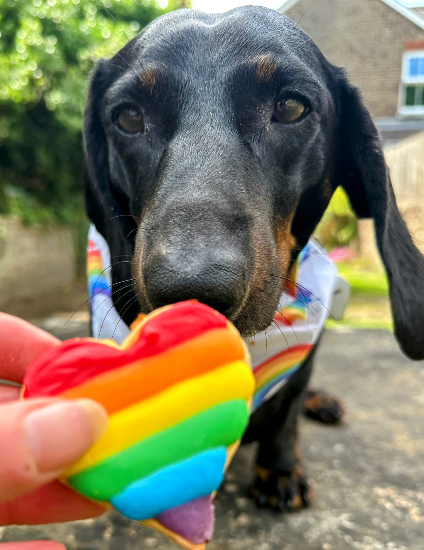 Proud of Pride