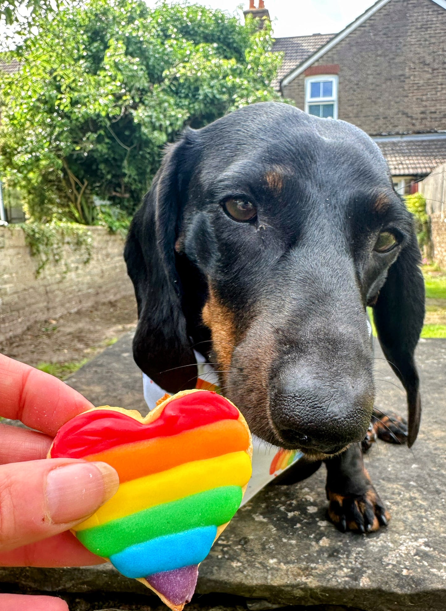 Proud of Pride