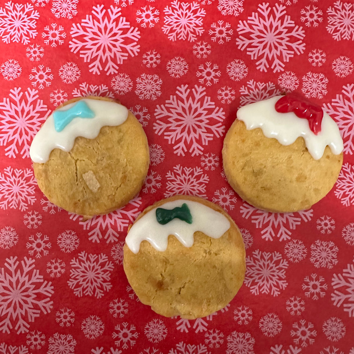 Three Mini Merry Puds Christmas dog biscuits with blue green and red bows
