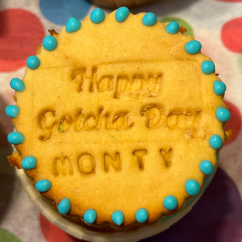 A Happy Gotcha Day pupcake topped with a round dog biscuit