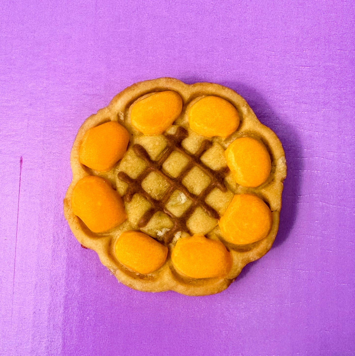 Sunflower with orange petals on a purple background