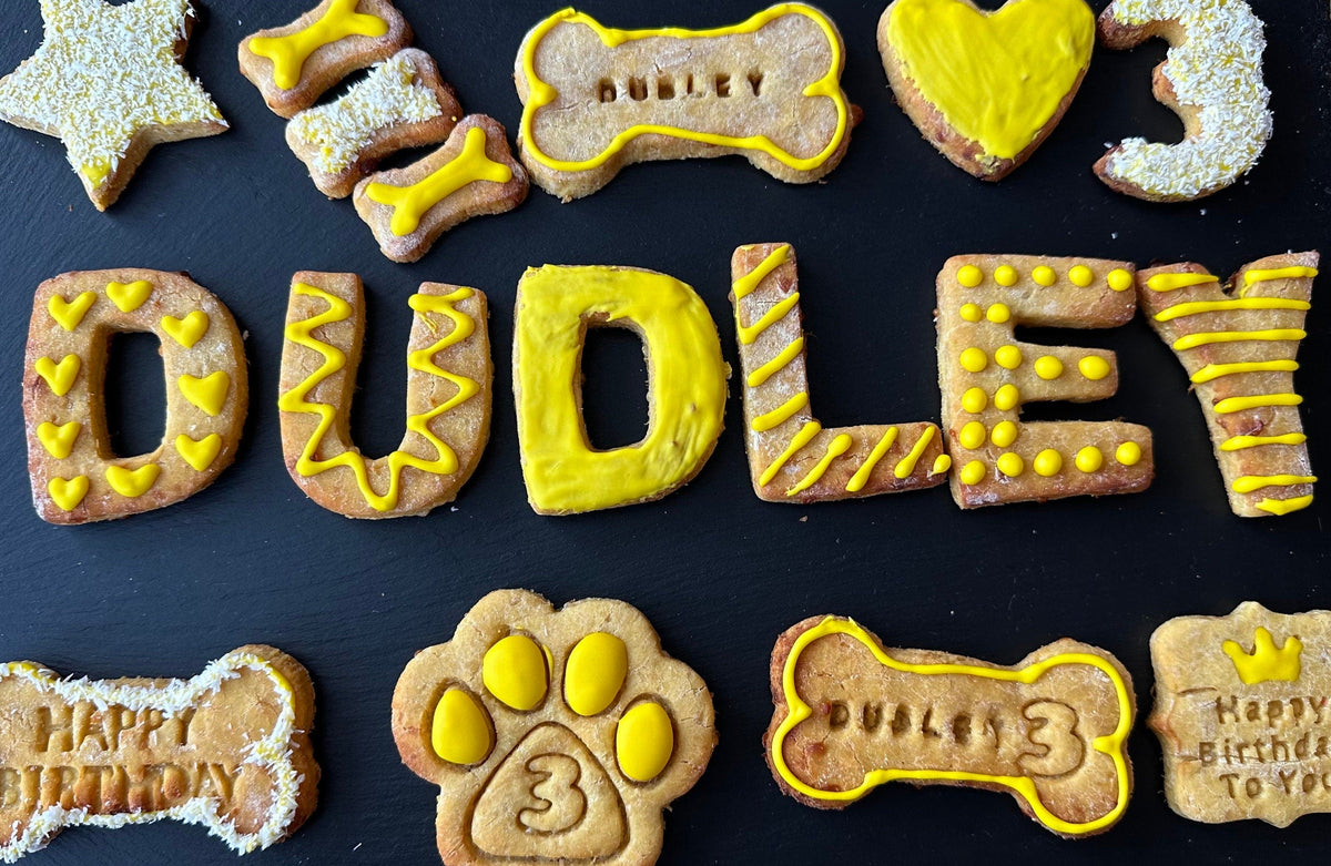 A selection of dog biscuits spelling "DUDLEY"
