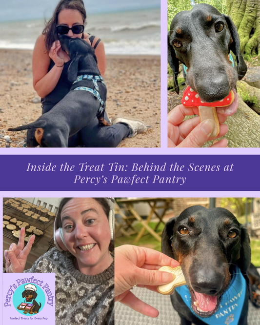 🐾 Inside the Treat Tin: Behind the Scenes at Percy’s Pawfect Pantry 💜