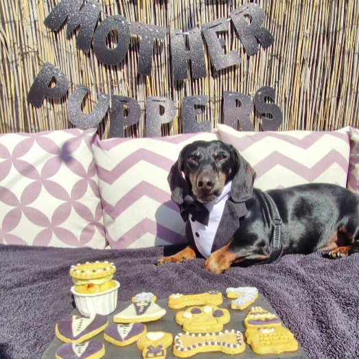 Dog Birthday Party Ideas