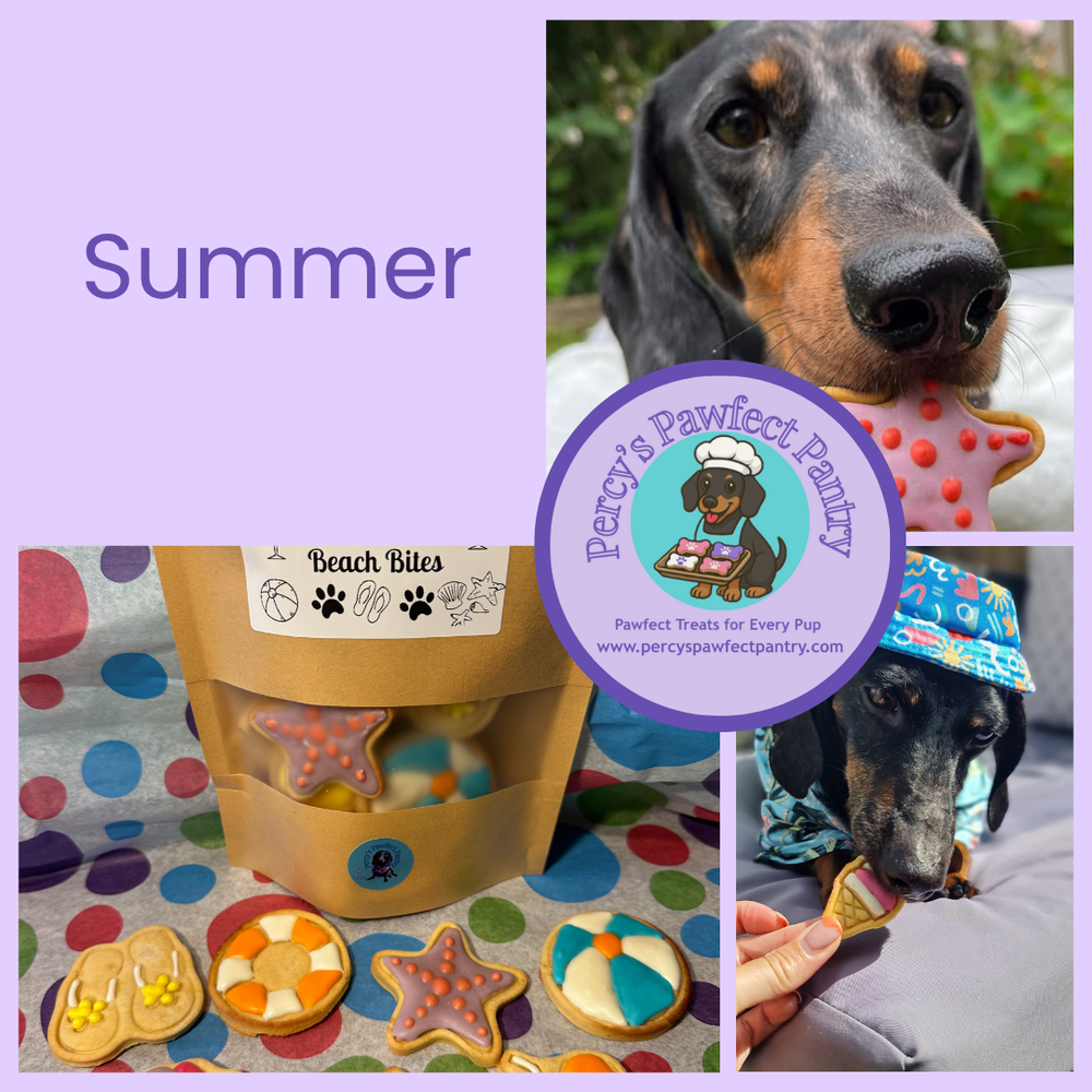 Shop Summer treats