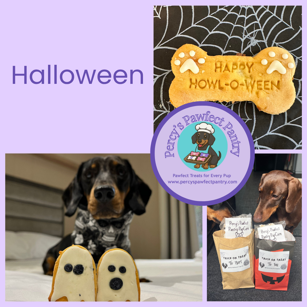 Shop Halloween