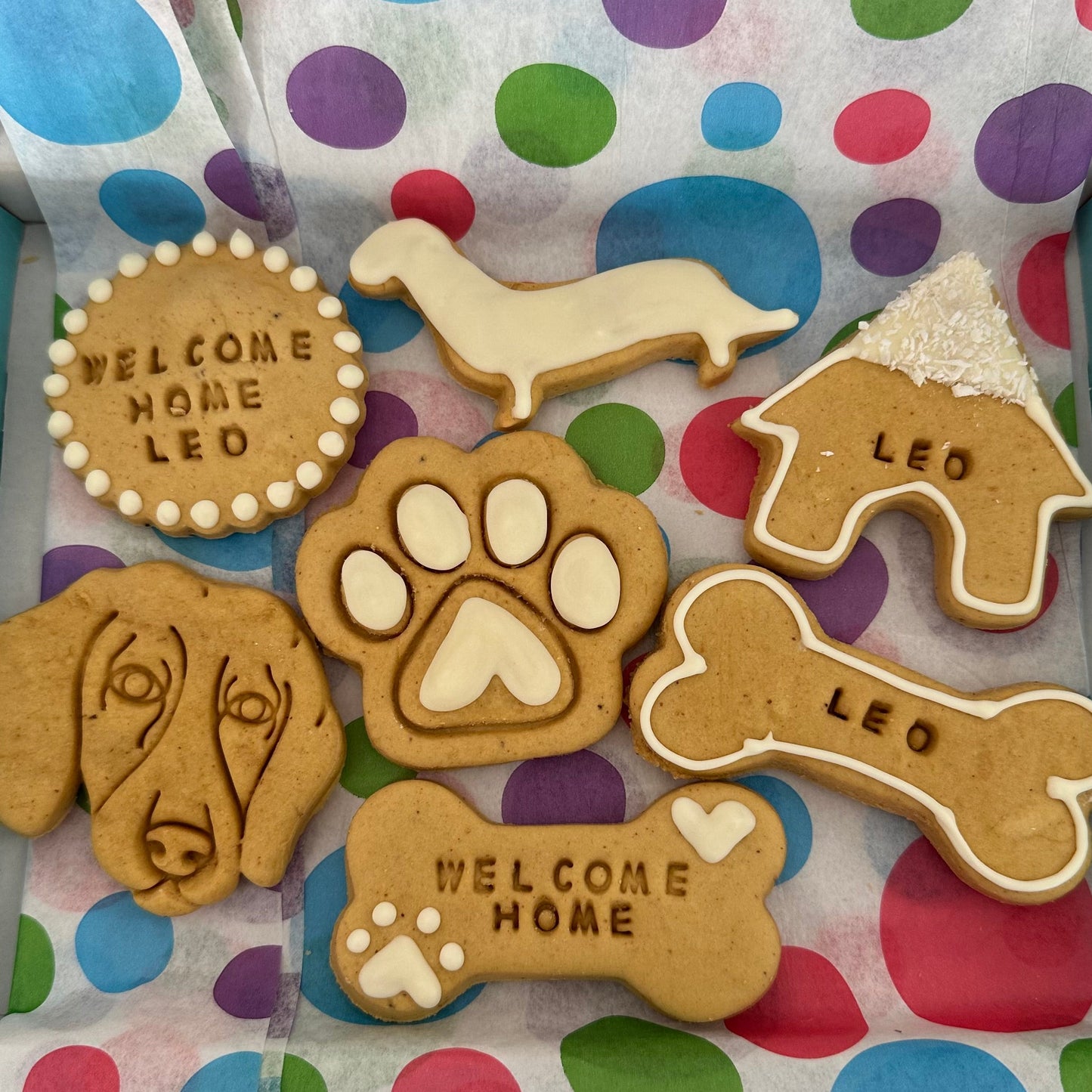 A Collection of Welcome home dog biscuits personalised with the name "Leo" with white icing displayed on polka dot backgorund