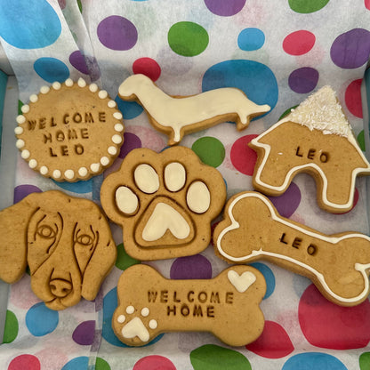 A Collection of Welcome home dog biscuits personalised with the name "Leo" with white icing displayed on polka dot backgorund