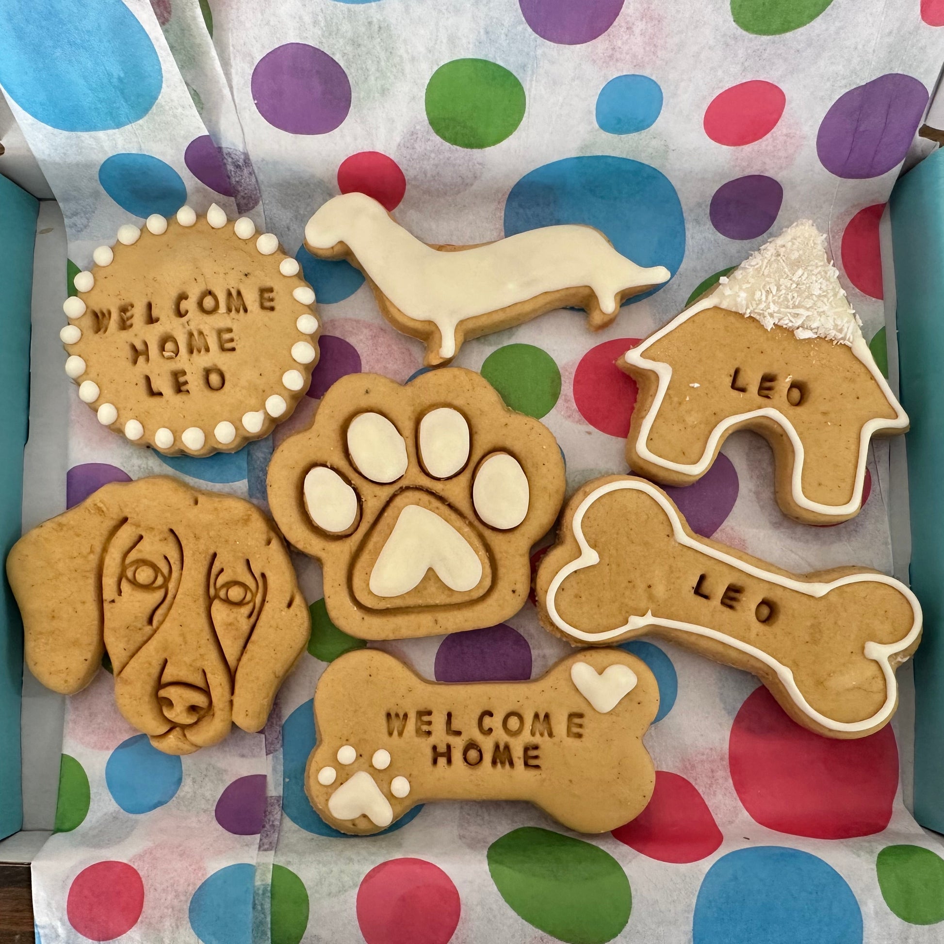 Gift box with welcome home leo dog biscuits