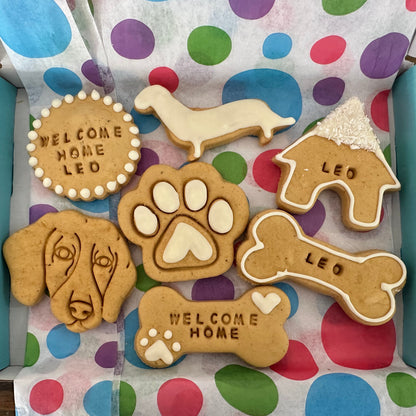 Gift box with welcome home leo dog biscuits