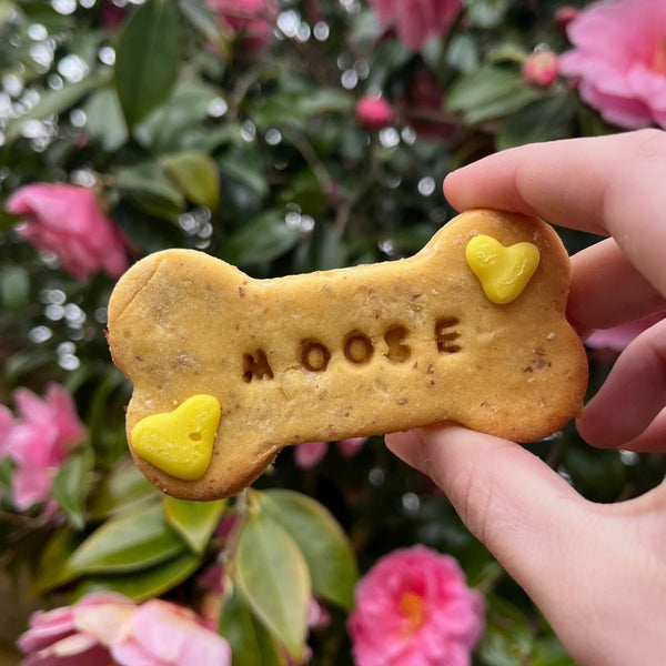 A dog bone biscuit with dogs name stamped in the middle with 2 iced love hearts 