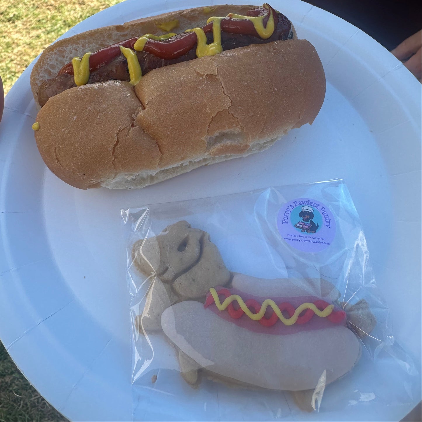 Hot dog with mustard on a bun on a white plate, with a plastic bag containing another hot dog toy in the background.