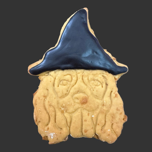 Spaniel Halloween dog biscuit with witch hat