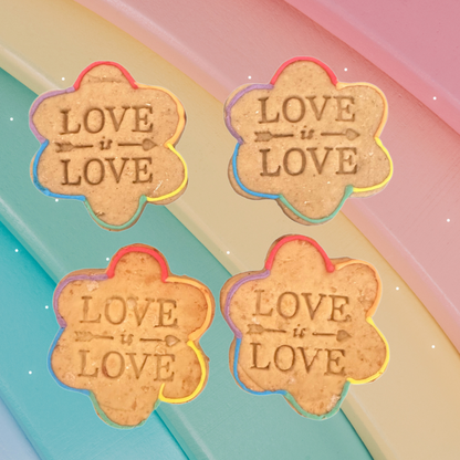 Four cookie-shaped signs with 'LOVE is LOVE' text on a colorful background