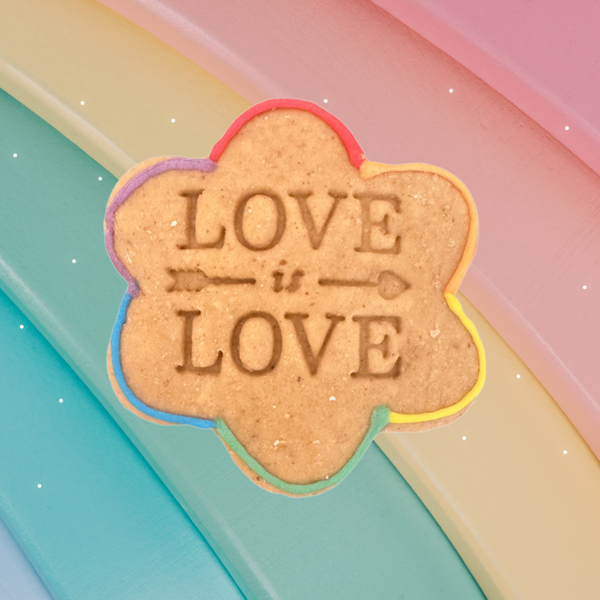 Flower-shaped sign with 'LOVE is LOVE' text on a colorful background