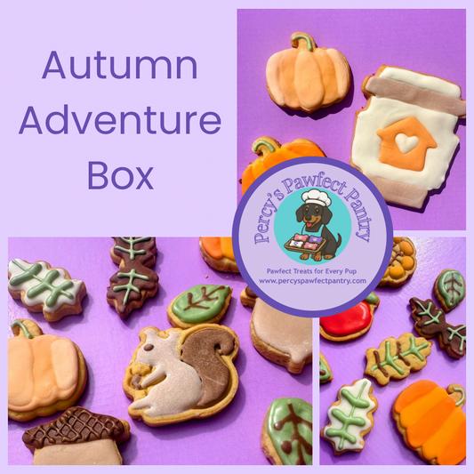 Autumn-themed cookie box with cookies shaped like pumpkins, leaves, and a squirrel on a purple background. Percy's Pawfect Pantry logo is visible.