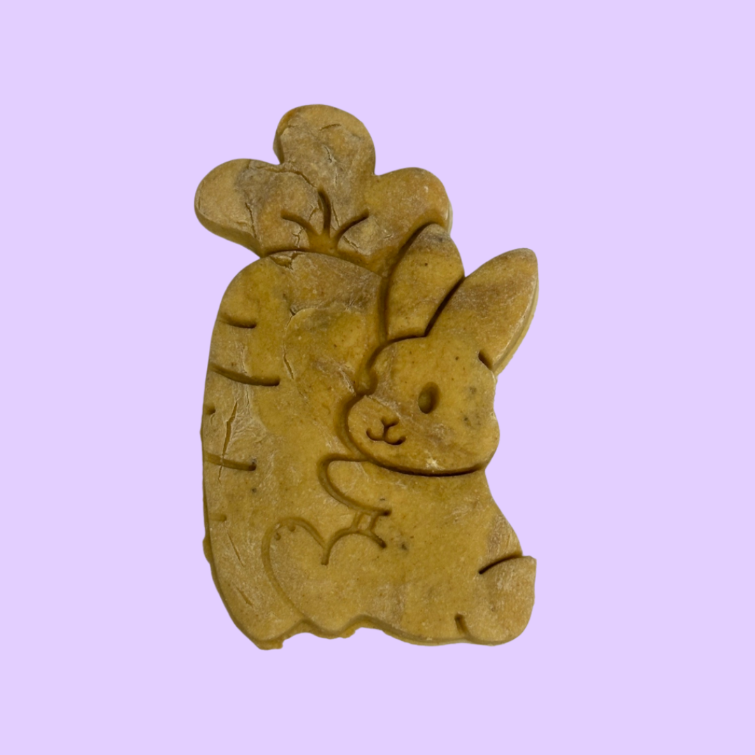 Bunny cuddling a carrot dog biscuit from Percys Pawfect Pantry