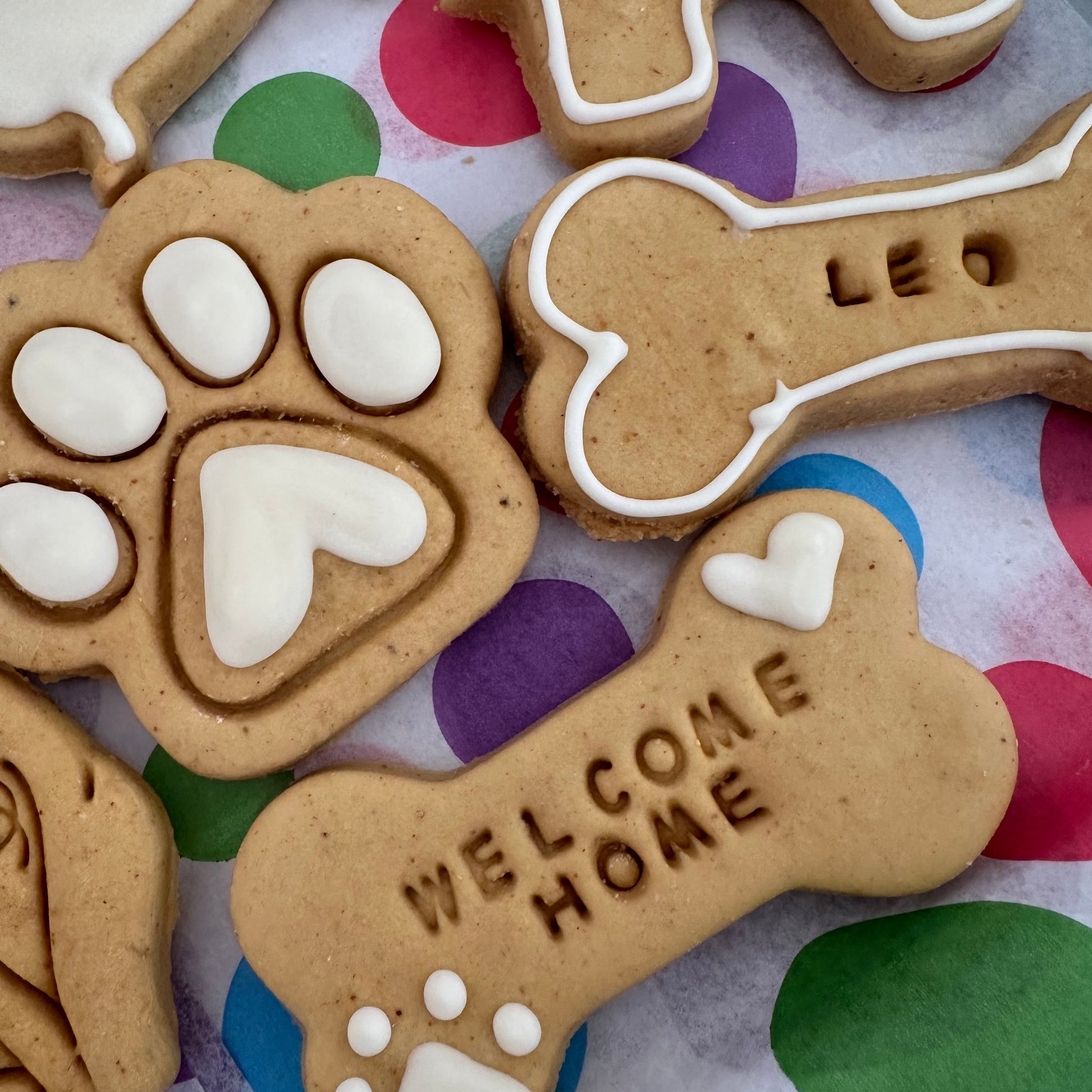 Dog bone and paw print cookies with text "welcome Home" on a colourful polka dot background