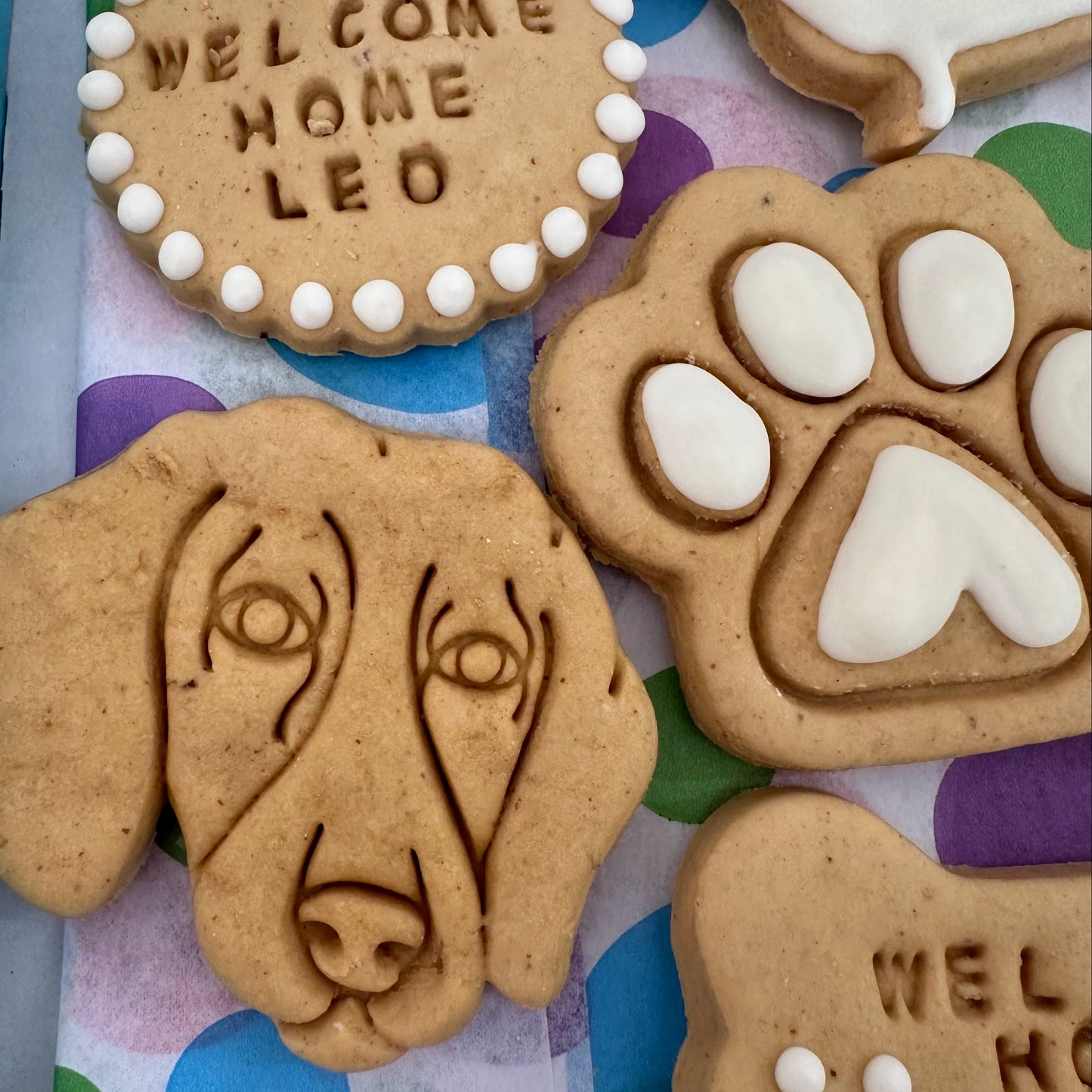 Dachshund face biscuits and an iced paw print