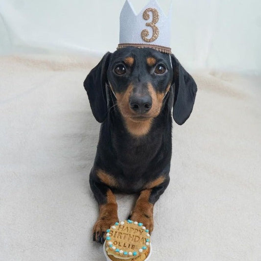 Individual Pupcake topped with Personalised Biscuit