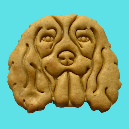 Dog Breed Faces - Spaniel