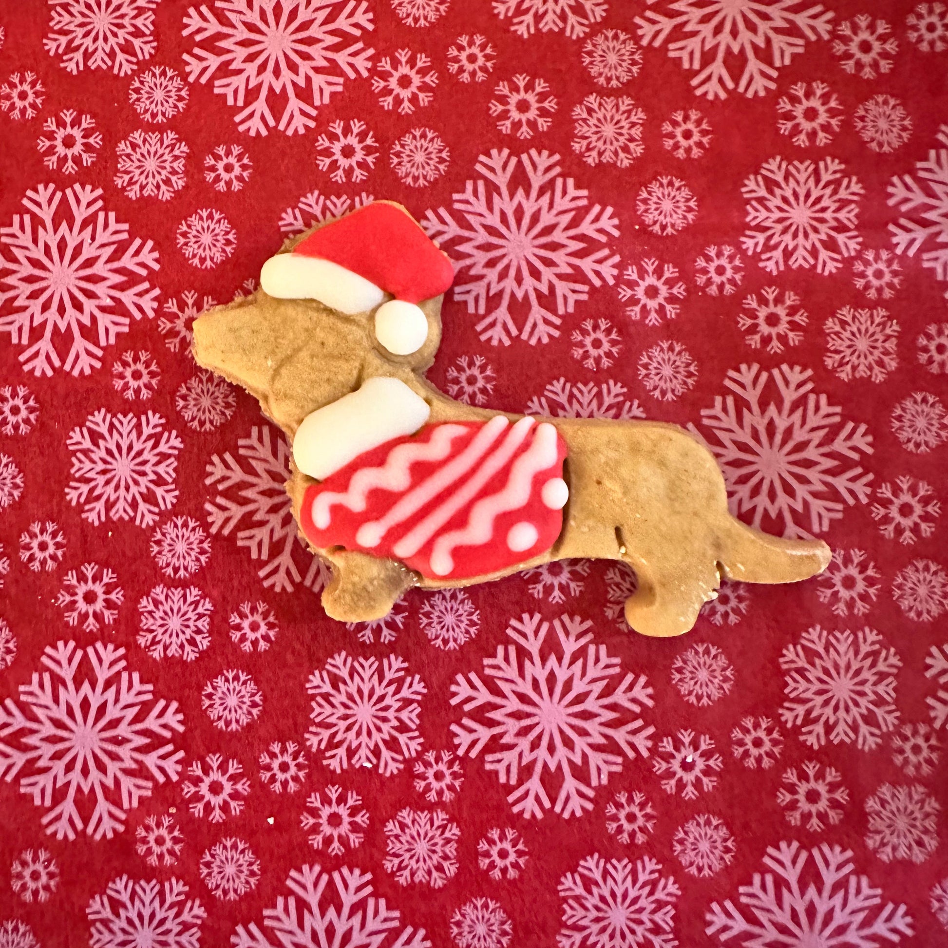 Dachshund cookie with red and white pattern on a red background with snowflakes