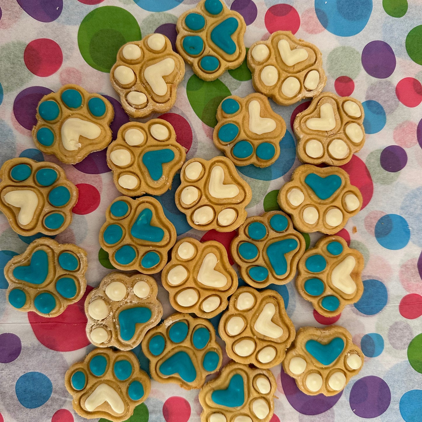 A selection of mini paw print dog biscuits decorated with blue and white icing