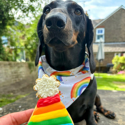 Dog wearing a rainbow bandana with a person holding a rainbow-colored cookie outdoors.